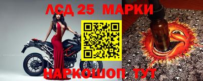 Альфа ПВП Донецк