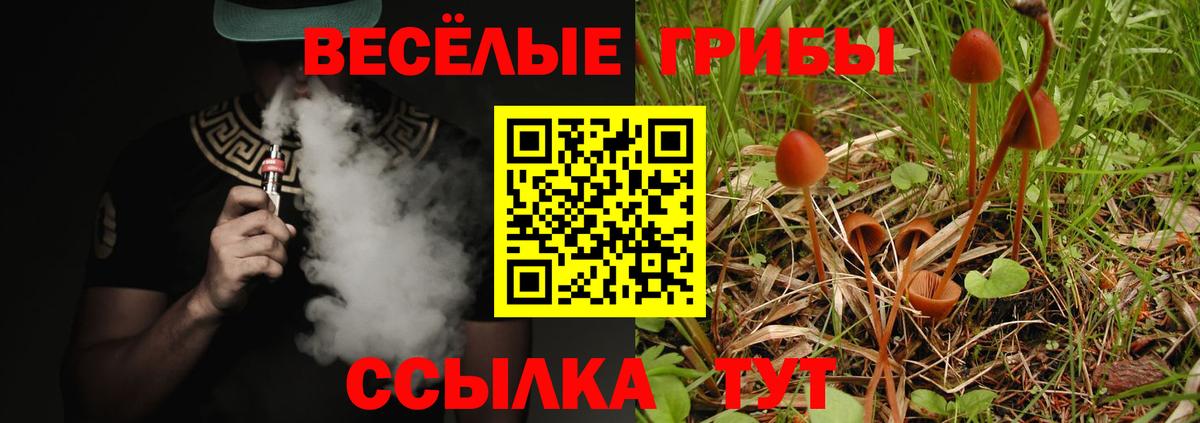 Искитим  Галлюциногенные грибы ЛСД  Вход с VPN  Псилоцибиновые грибы Psilocybine cubensis 